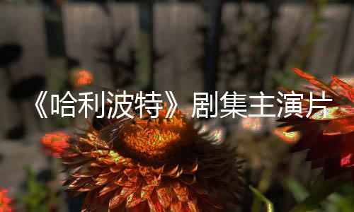 百万第特主演剧集就成二季片酬曝光富翁利波哈